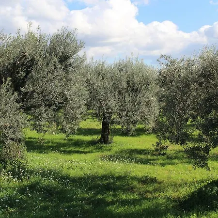 Dimora Dell'asparago